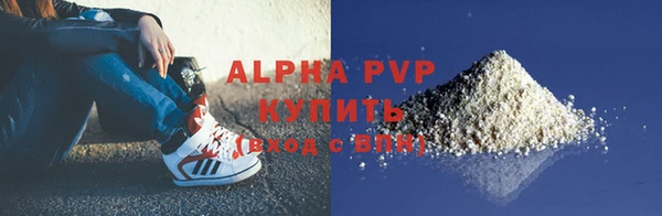 трава Белокуриха