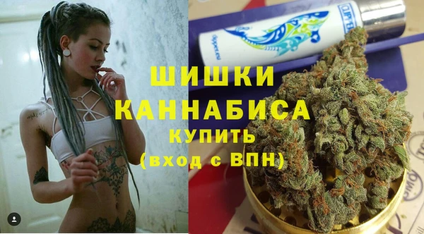 трава Белокуриха