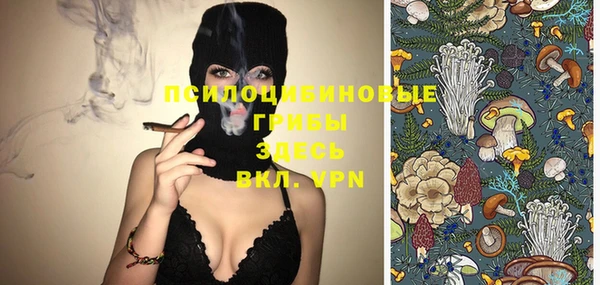 трава Белокуриха