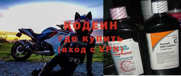 трава Белокуриха