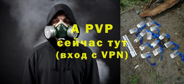 трава Белокуриха