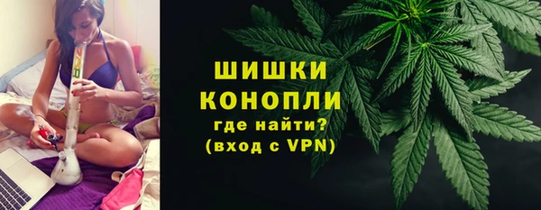 трава Белокуриха