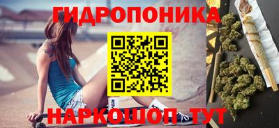 стаф Бийск
