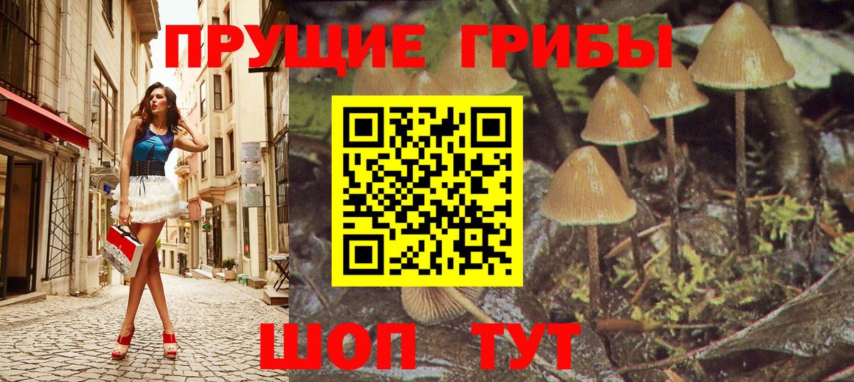 Галлюциногенные грибы GOLDEN TEACHER  Вход с VPN  купить наркоту  Галлюциногенные грибы GOLDEN TEACHER  Губкинский 