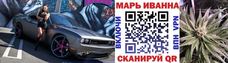 Каннабис планчик Губкинский